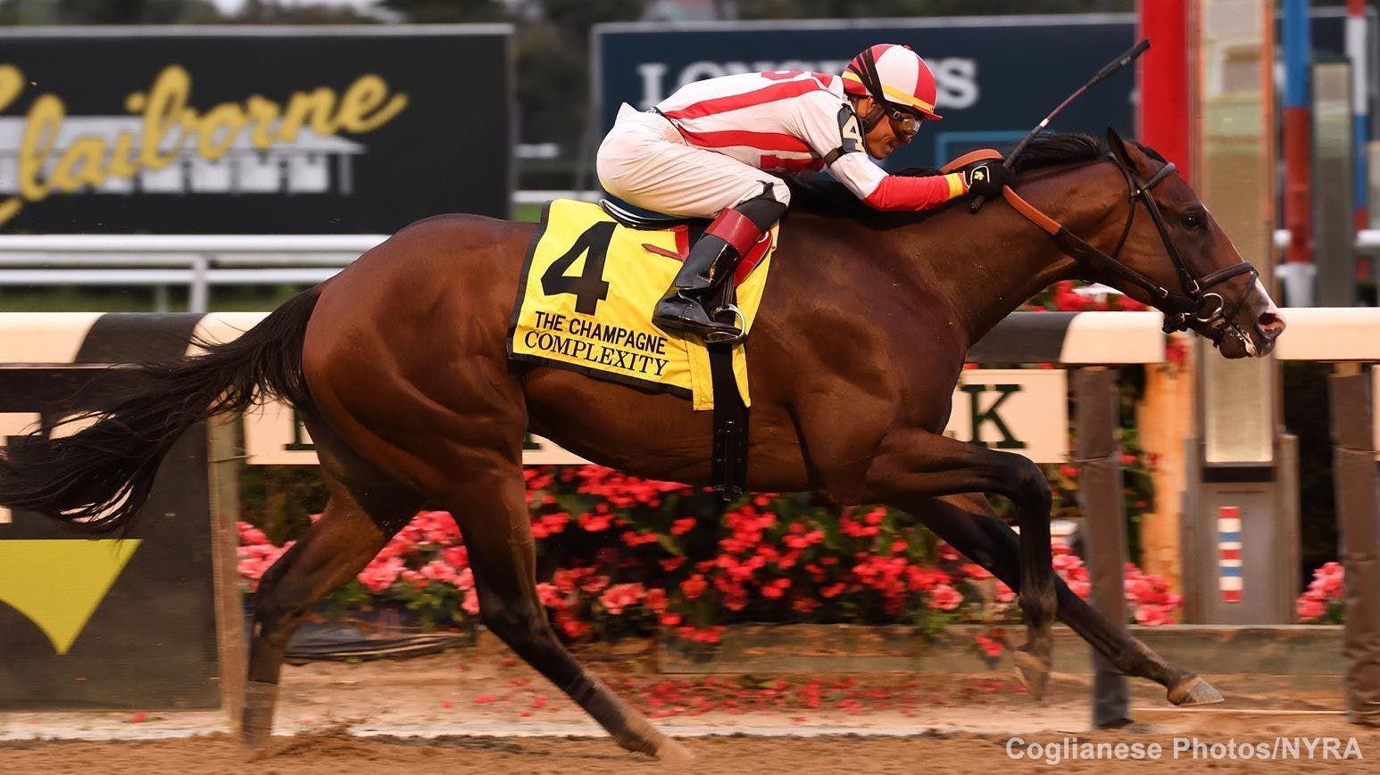 How to bet the Forego Stakes TwinSpires