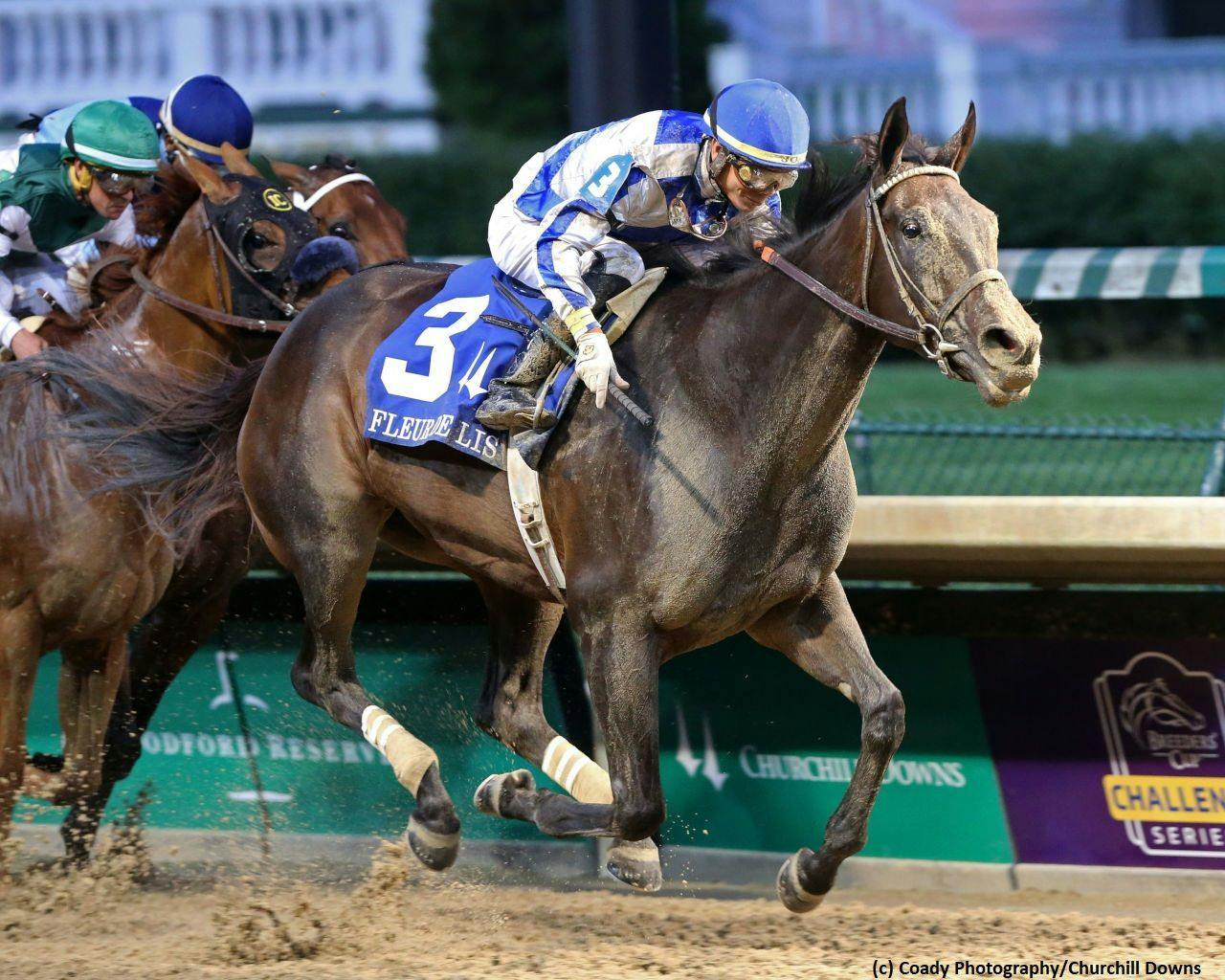 Examining the Breeders' Cup Classic field with preentries TwinSpires