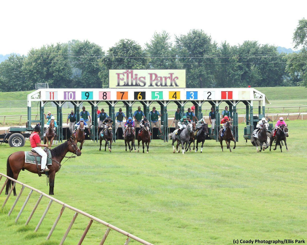 Ellis Park (Photo by Coady Photography)