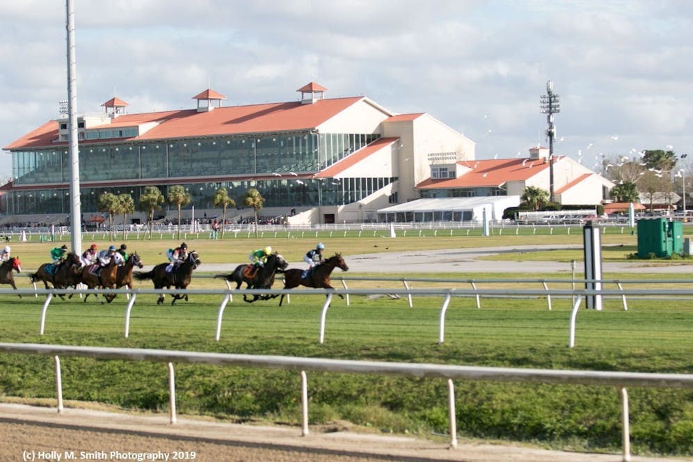 How to bet the 2024 Louisiana Stakes TwinSpires