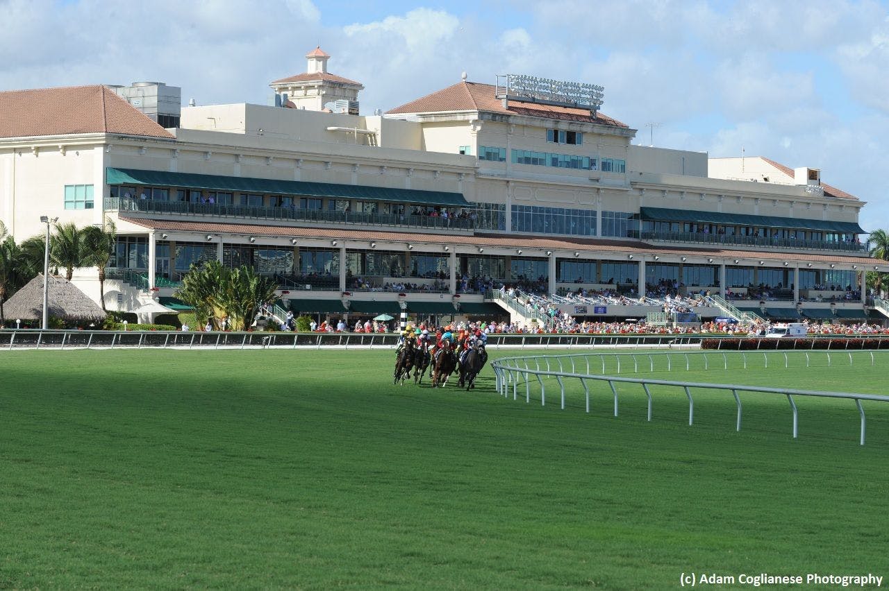 Gulfstream Park pick for Dec. 23 TwinSpires