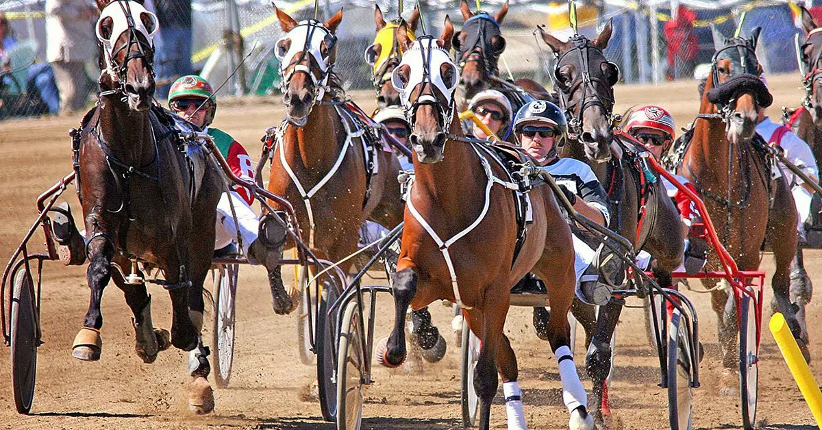 Harness Racing: Mohawk stakes plays for Sept. 17-18 | TwinSpires