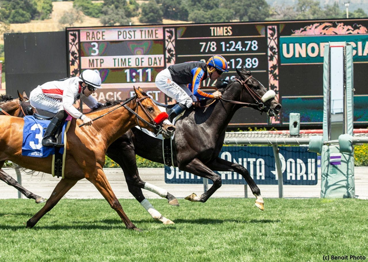 Best Bets and Quick Picks Santa Anita’s 9,051 Super High 5 TwinSpires