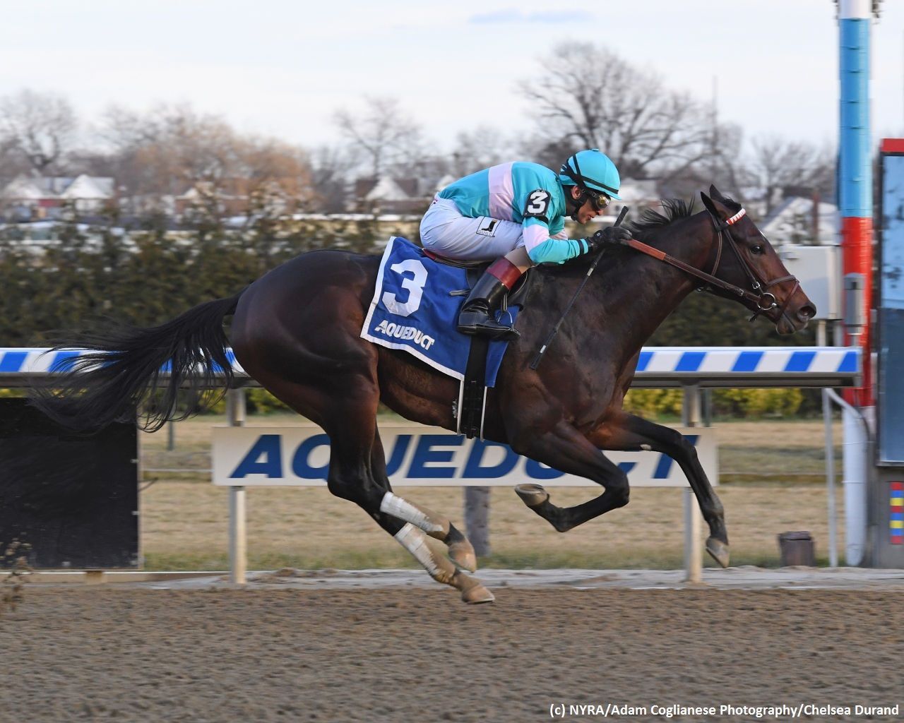 Kentucky Derby Pedigree Profile: Mind Control | TwinSpires