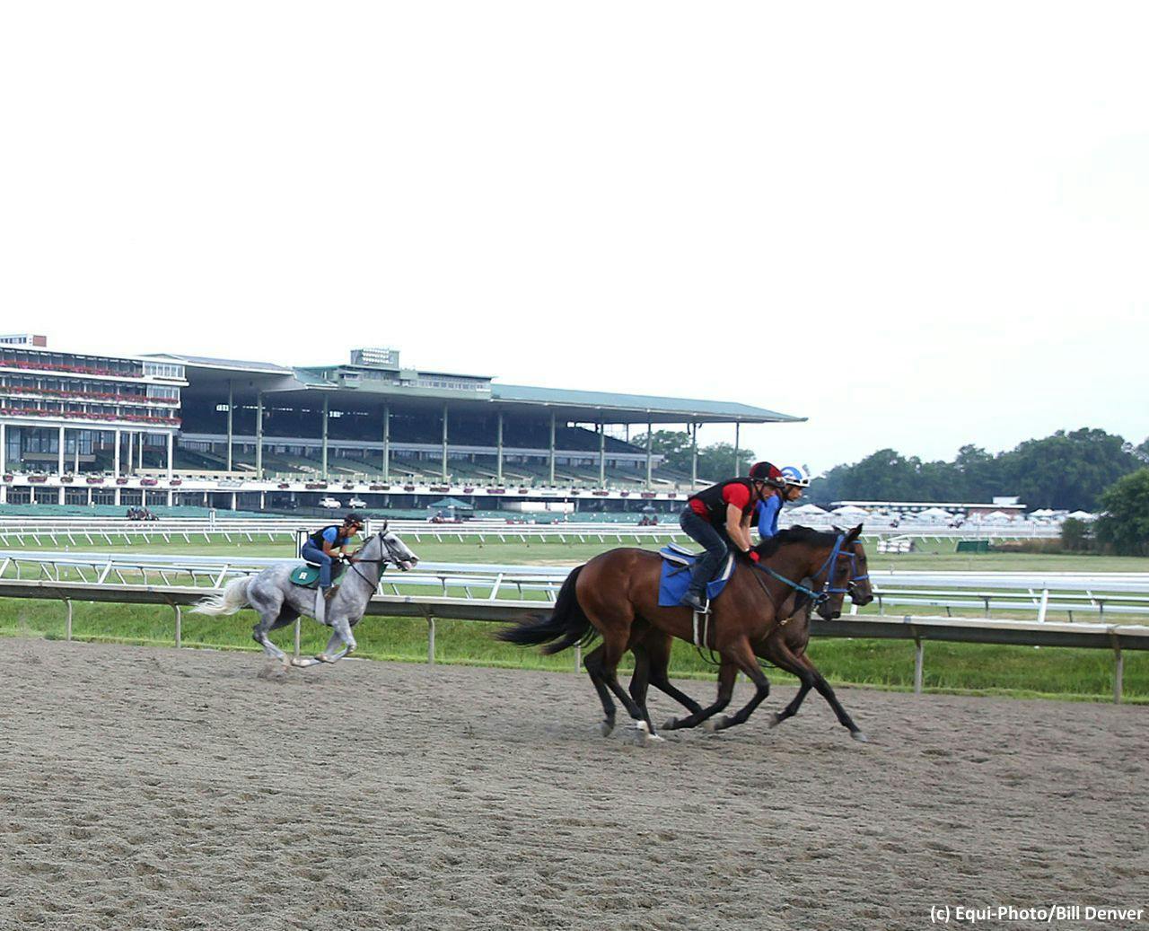 Holland's North American free racing picks for Oct. 4 TwinSpires