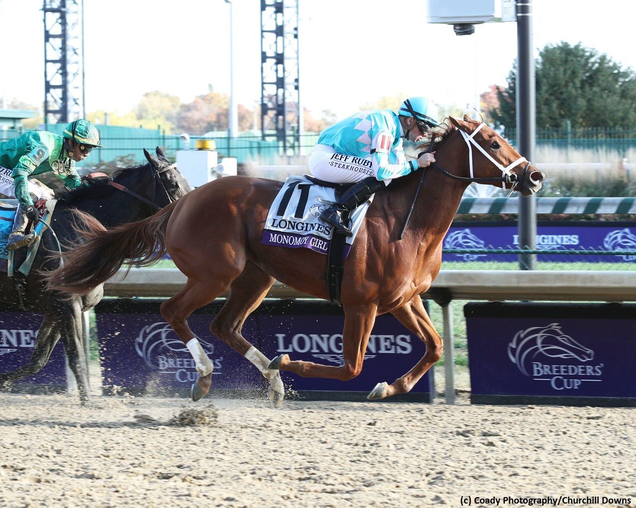 2019 Breeders Cup Distaff BRIS Speed Rating Report TwinSpires