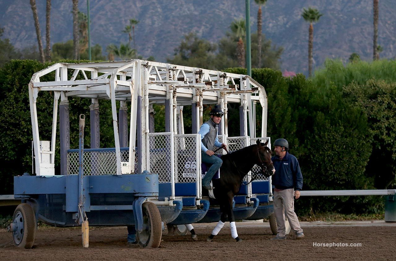 Breeders’ Cup Contenders Turn In Final Pre-race Workouts | TwinSpires