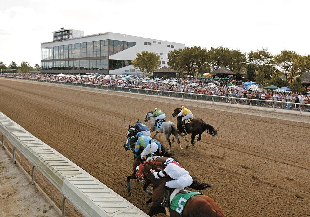 Parx Racing Pick of the Week for January 15 TwinSpires