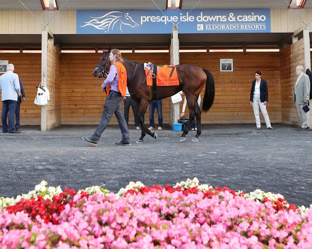 Presque Isle Downs Selections and Analysis for Wednesday TwinSpires