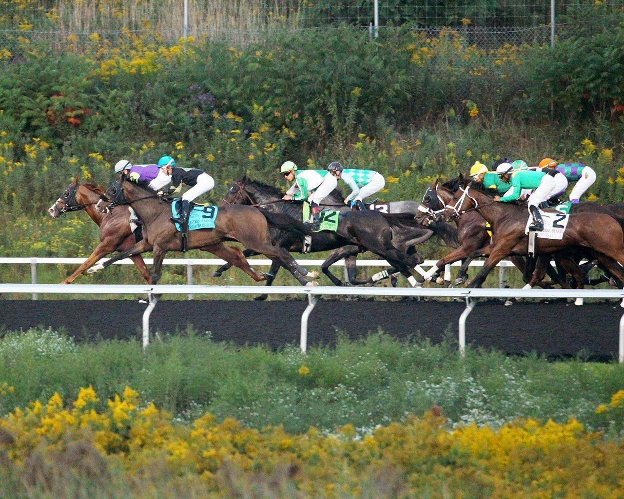 Racing at Presque Isle Downs