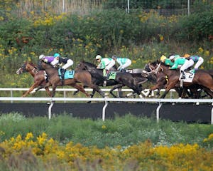Racing at Presque Isle Downs