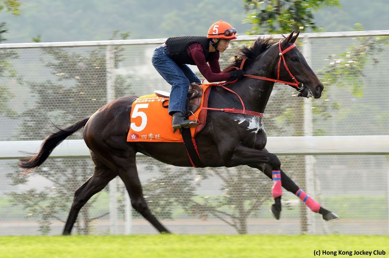 Hong Kong Spot Plays: A Quick Voyage | TwinSpires