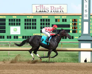 Racing at Ellis Park.