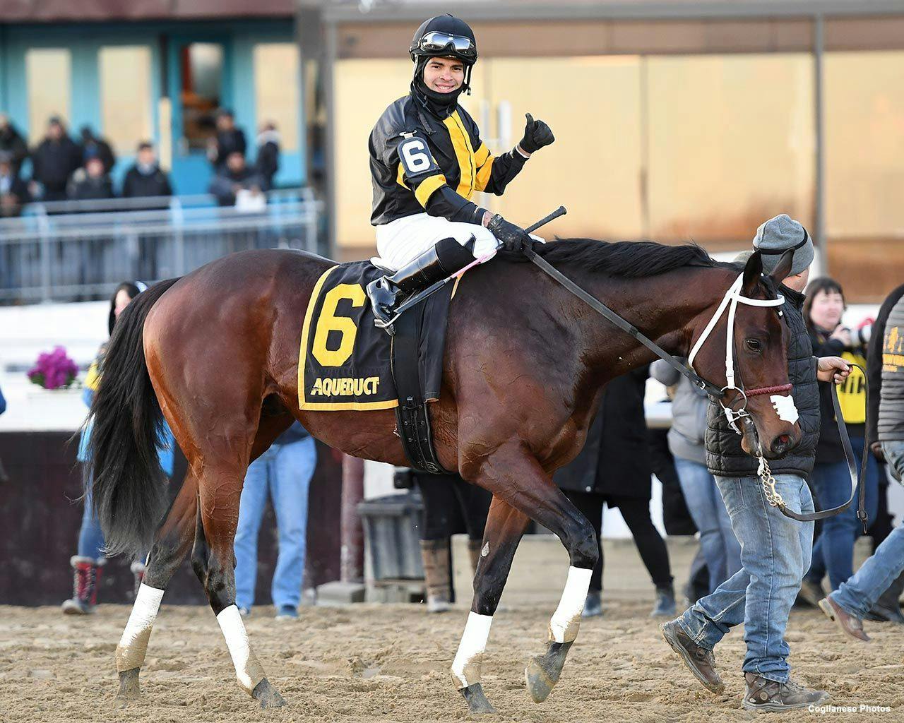 Kentucky Derby Pedigree Profile: Shotski | TwinSpires