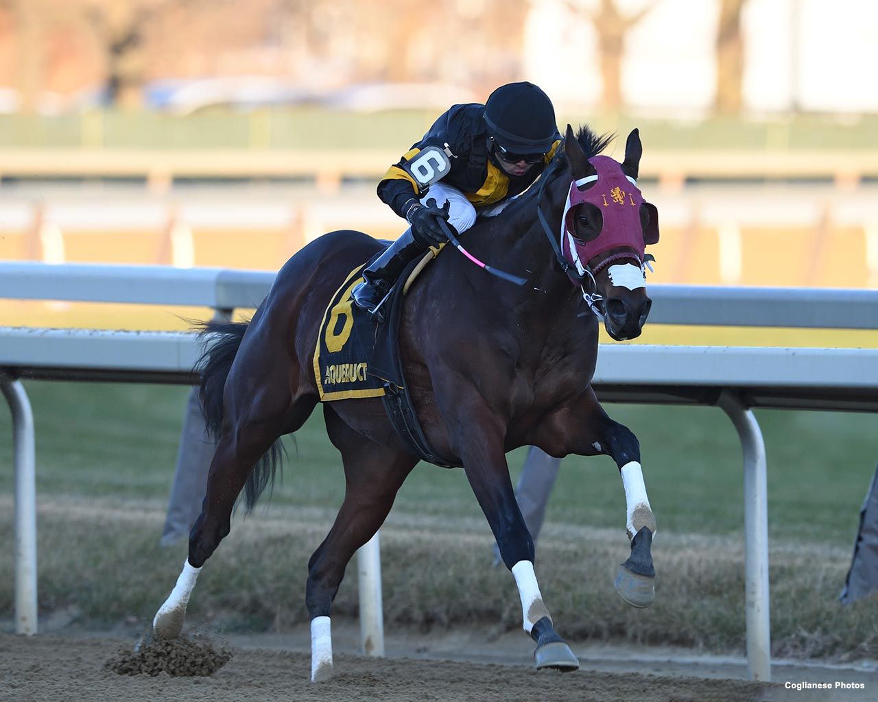 Kentucky Derby Pedigree Profile: Shotski | TwinSpires