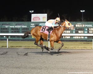 Racing at Turfway Park