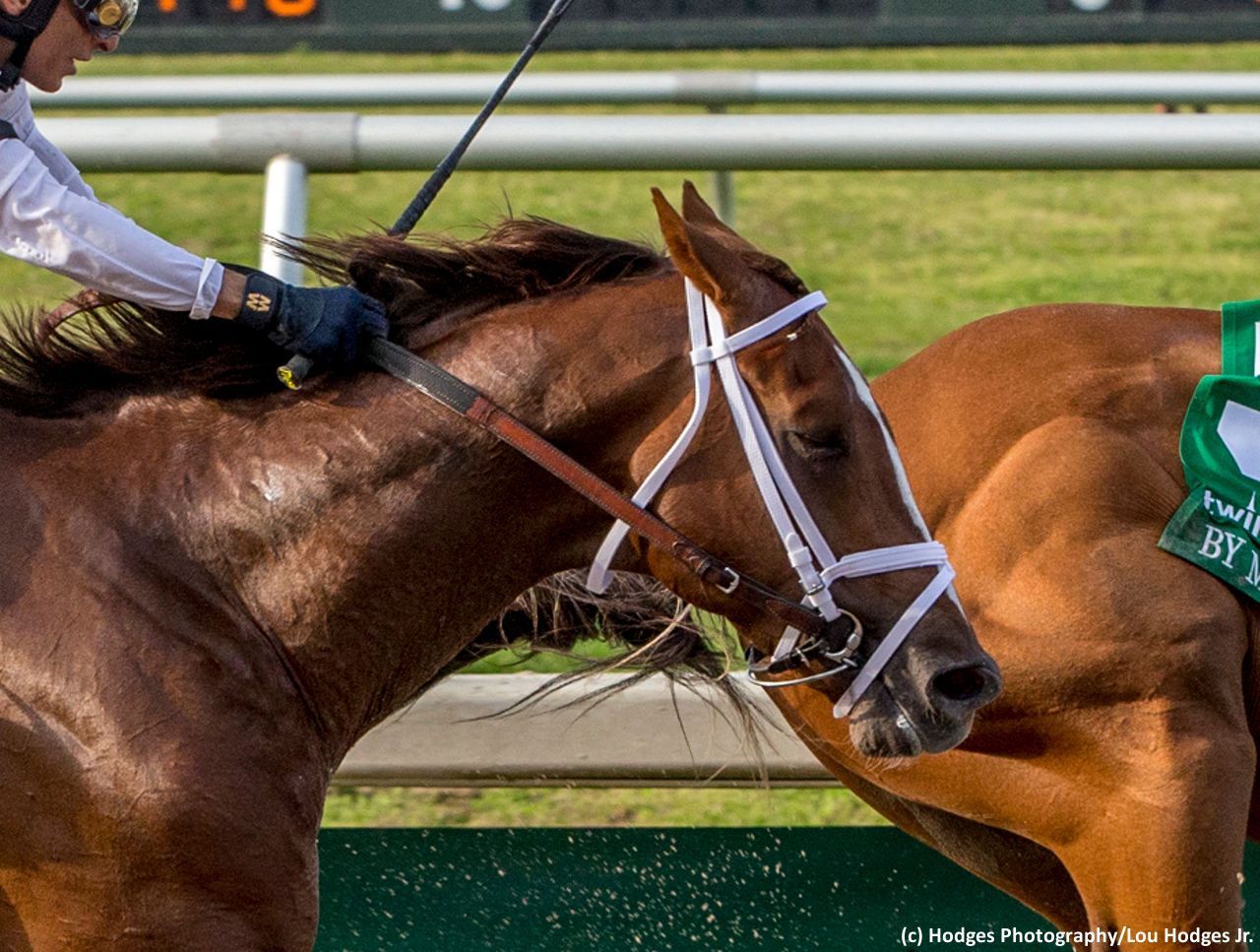 Kentucky Derby Pedigree Profile: Spinoff | TwinSpires