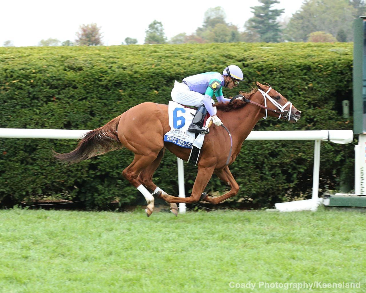 Breeders' Cup Juvenile Fillies Turf Division: Sweet Melania | TwinSpires