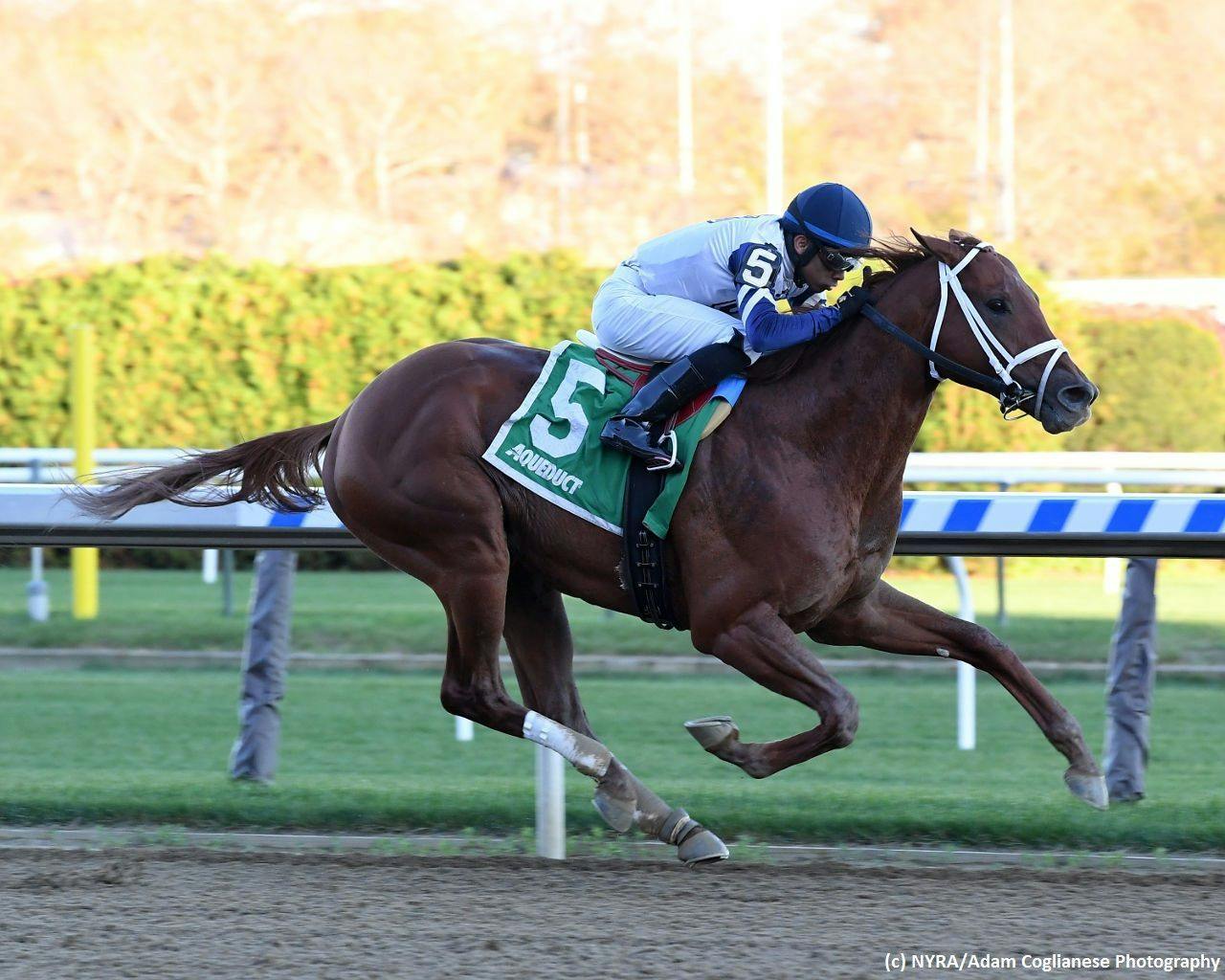 Horses of interest in Kentucky Derby Future Wager Pool 2 TwinSpires