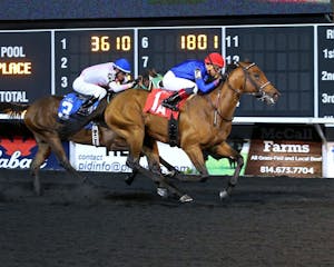 Racing at Presque Isle Downs.