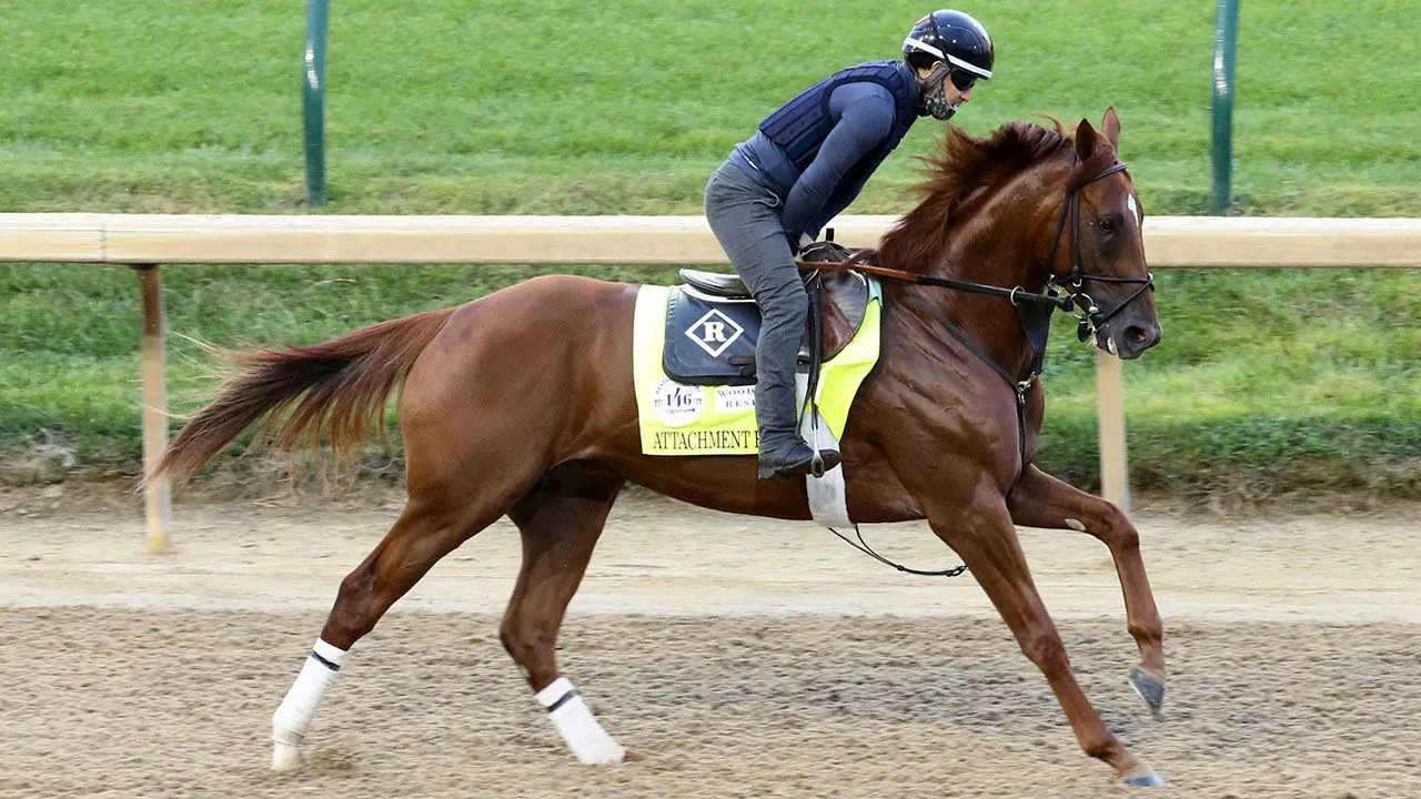 The best longshot to bet in the Kentucky Derby TwinSpires