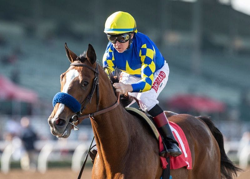 Kentucky Derby Pedigree Profile: Authentic | TwinSpires