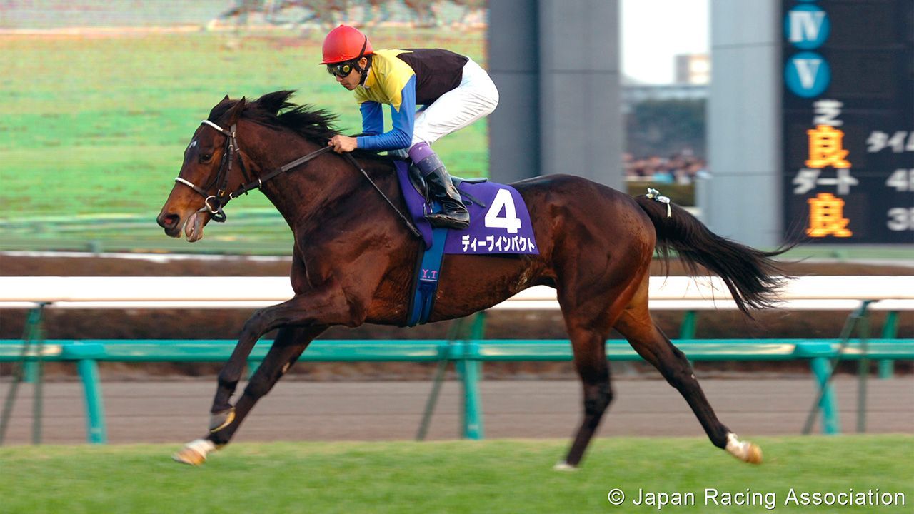 Deep Impact fillies aim to thwart Daring Tact in Yushun Himb