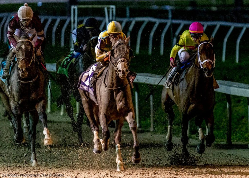 Kentucky Derby Pedigree Profile: Enforceable | TwinSpires