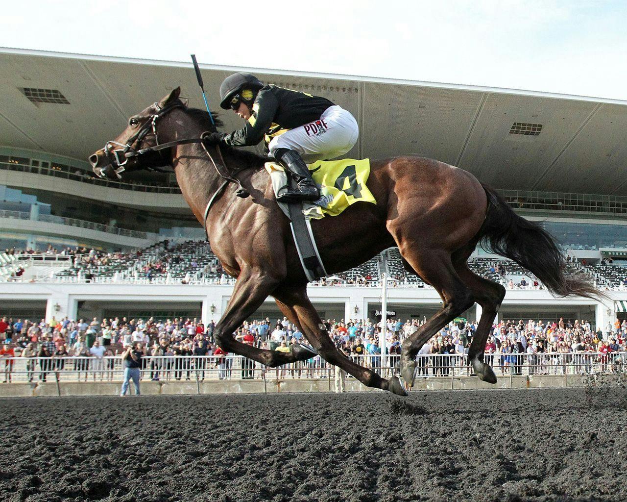 Matt Winn Stakes Tipsheet TwinSpires