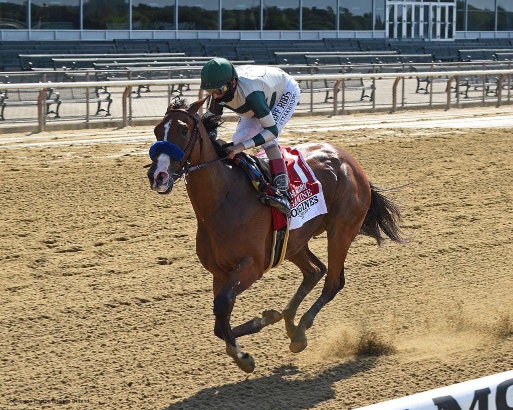 Gamine (Coglianese Photos/Chelsea Durand)
