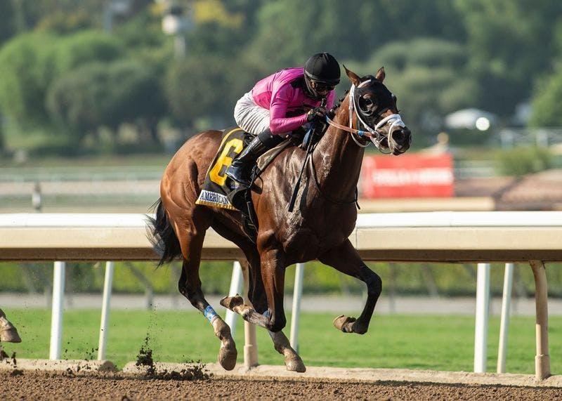 Get Her Number wins American Pharoah S. 2020 (Photo by Benoit Photography)