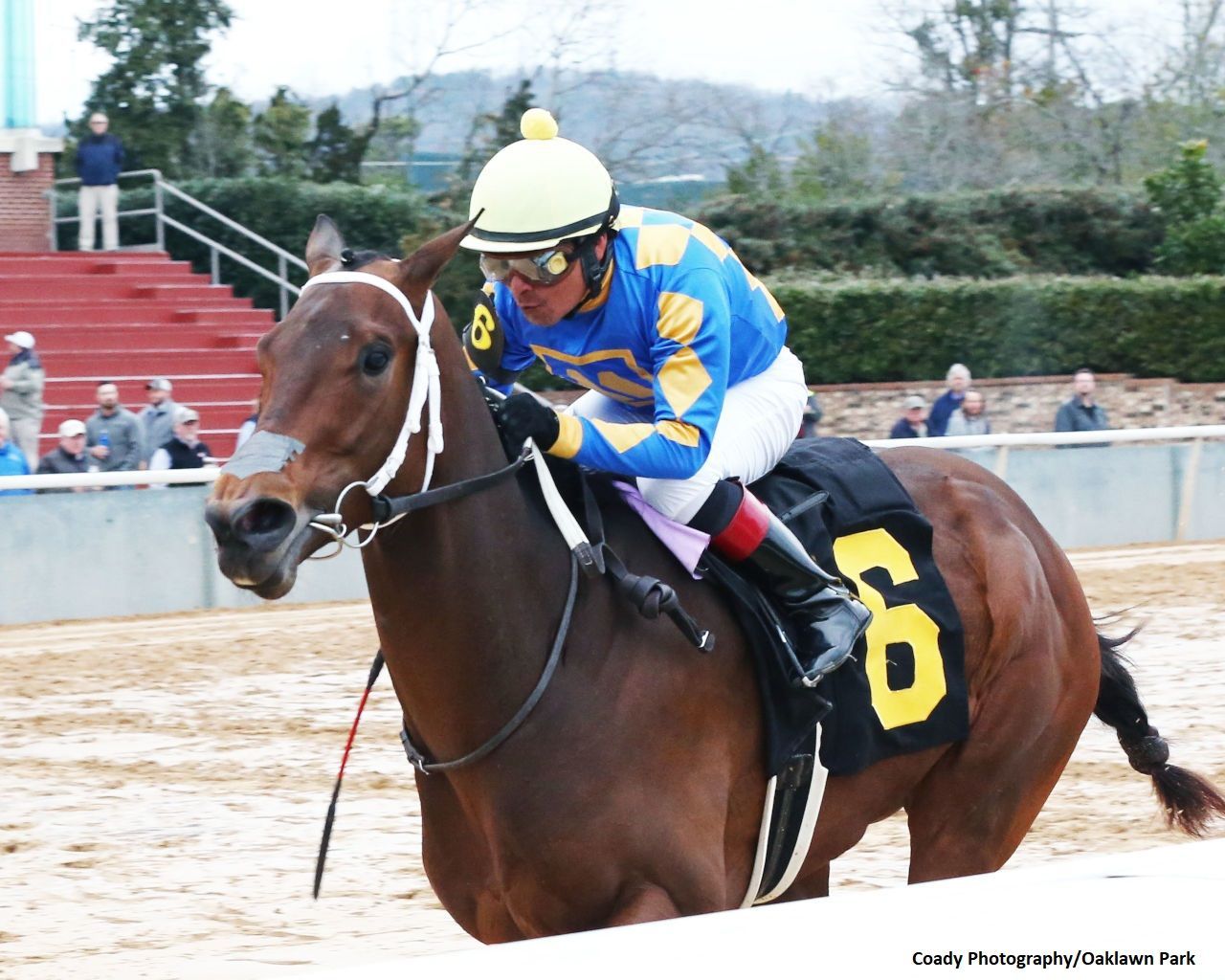 Kentucky Derby Pedigree Profile: Gold Street | TwinSpires