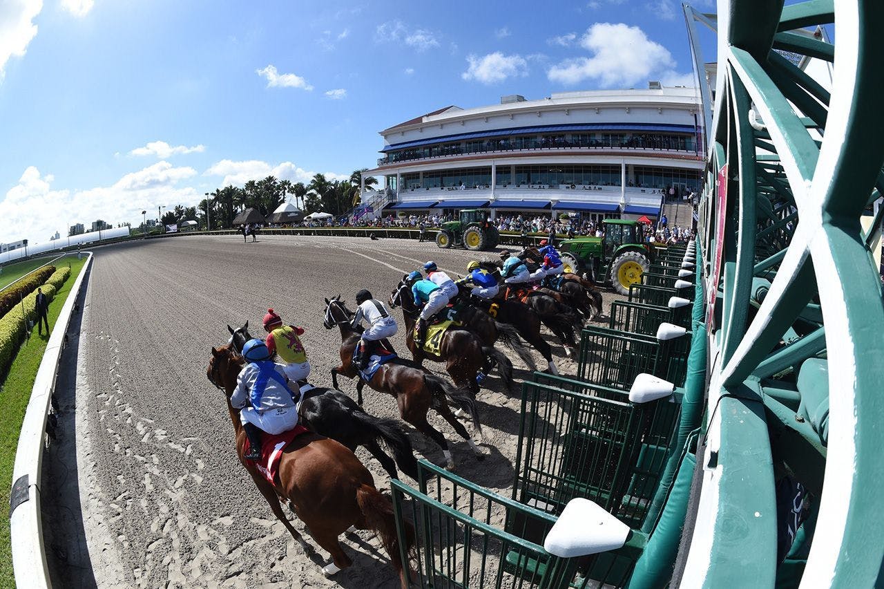 How to bet the mandatory Pick 6 payouts at Gulfstream and Tu TwinSpires