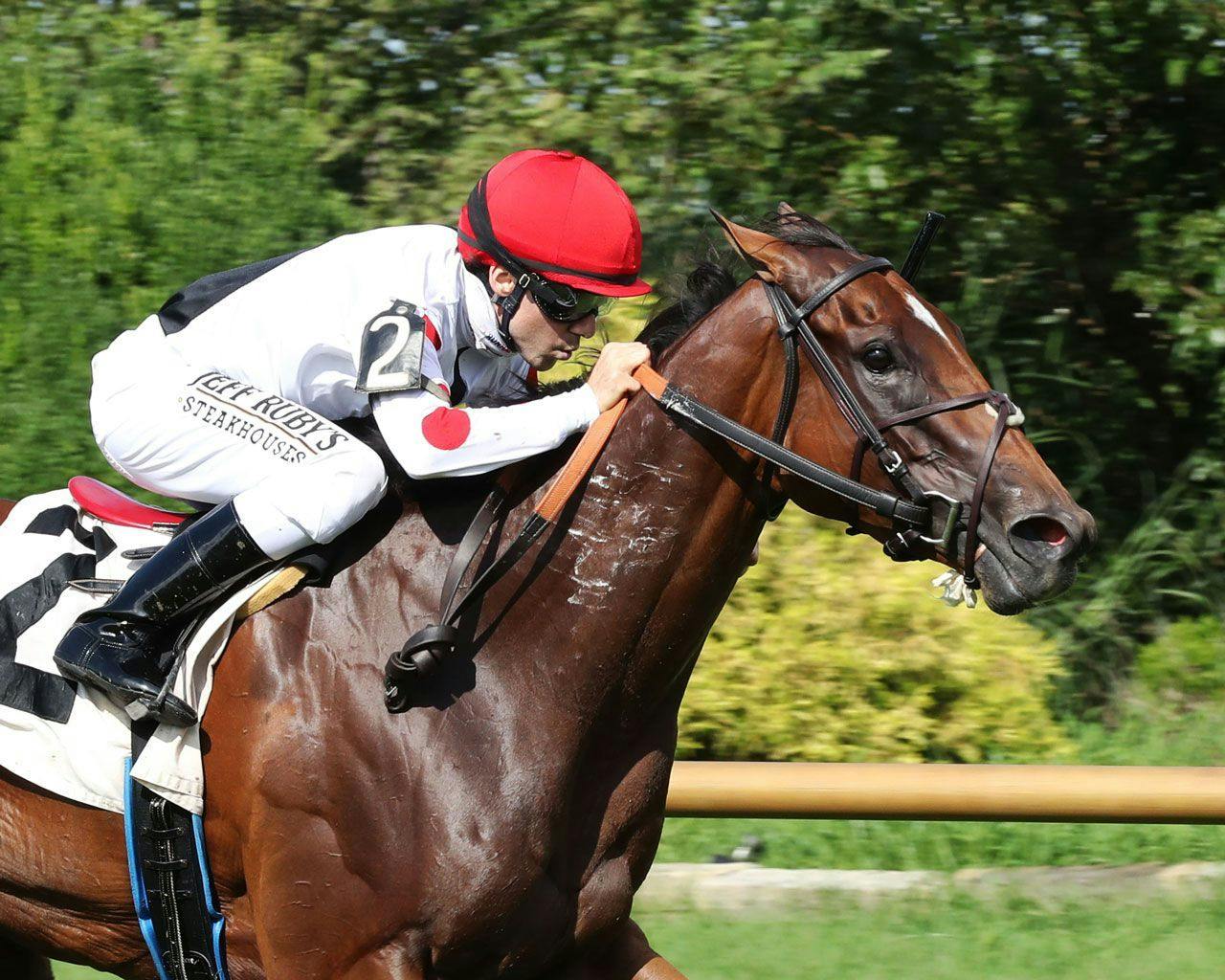 How To Bet The Franklin County Stakes 