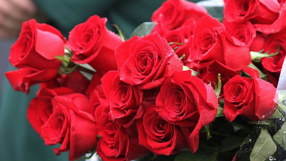 Kentucky Derby 2023 odds for betting, contender value TwinSpires