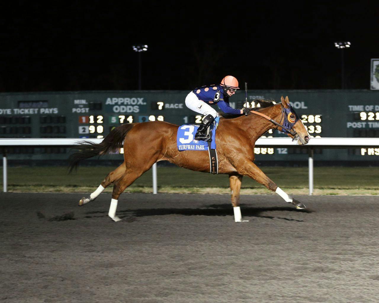 How to bet the Forego Stakes TwinSpires