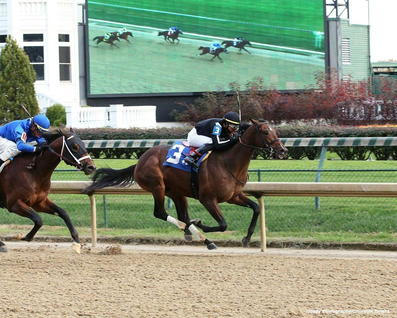 Tipsheet Risen Star Stakes 2nd division TwinSpires