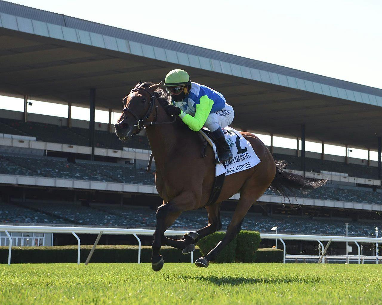 How to bet the best Pick 3 on Friday at Belmont Park TwinSpires