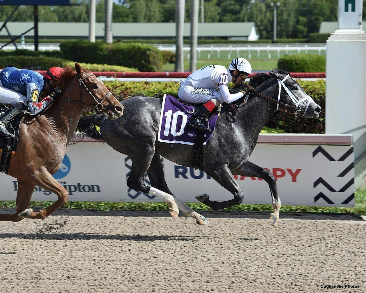 Tipsheet Tampa Bay Derby TwinSpires