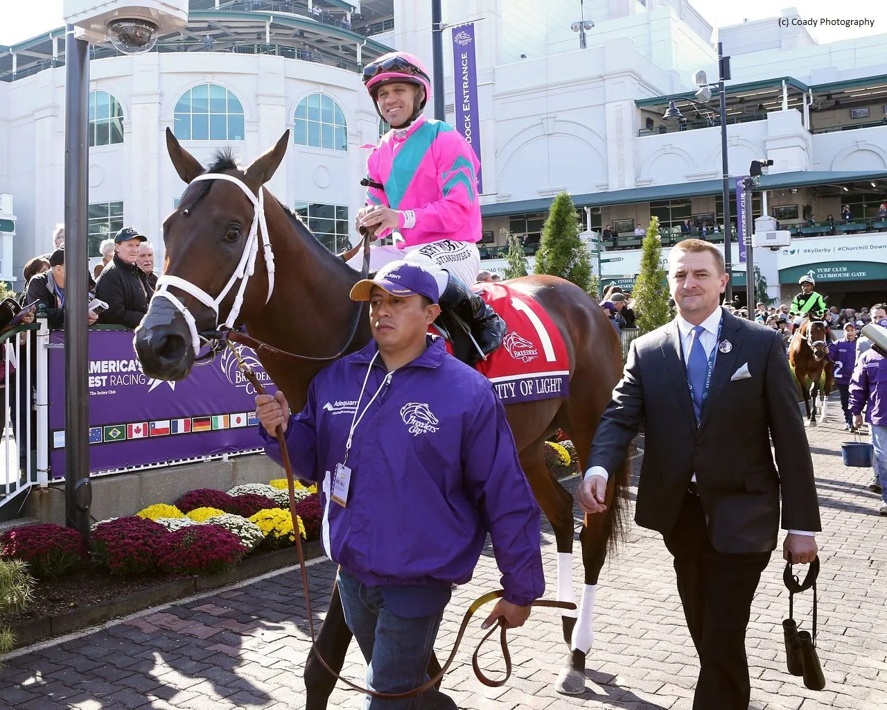 Hot trainer spotlight: Michael McCarthy | TwinSpires