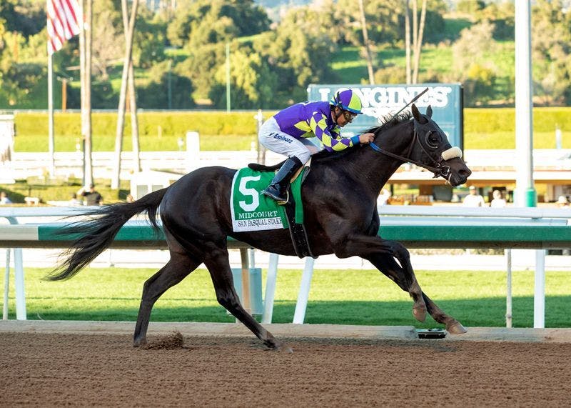 How to bet the Hollywood Gold Cup TwinSpires