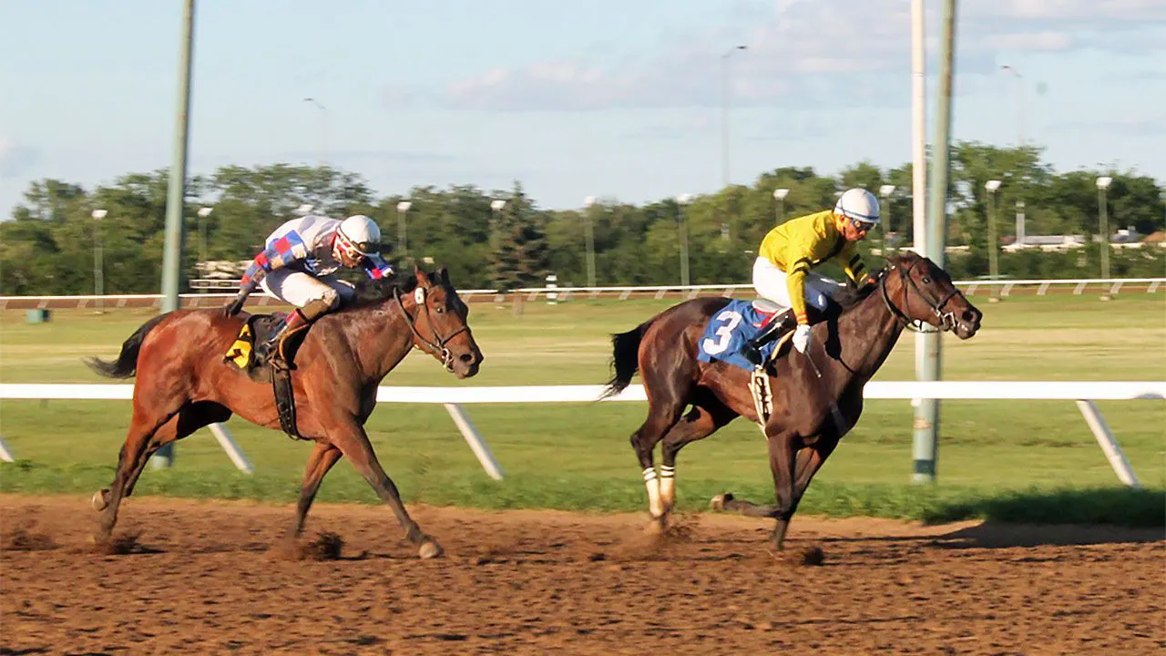 Monday’s Best Bets and Quick Picks: La Canonica for an upset | TwinSpires