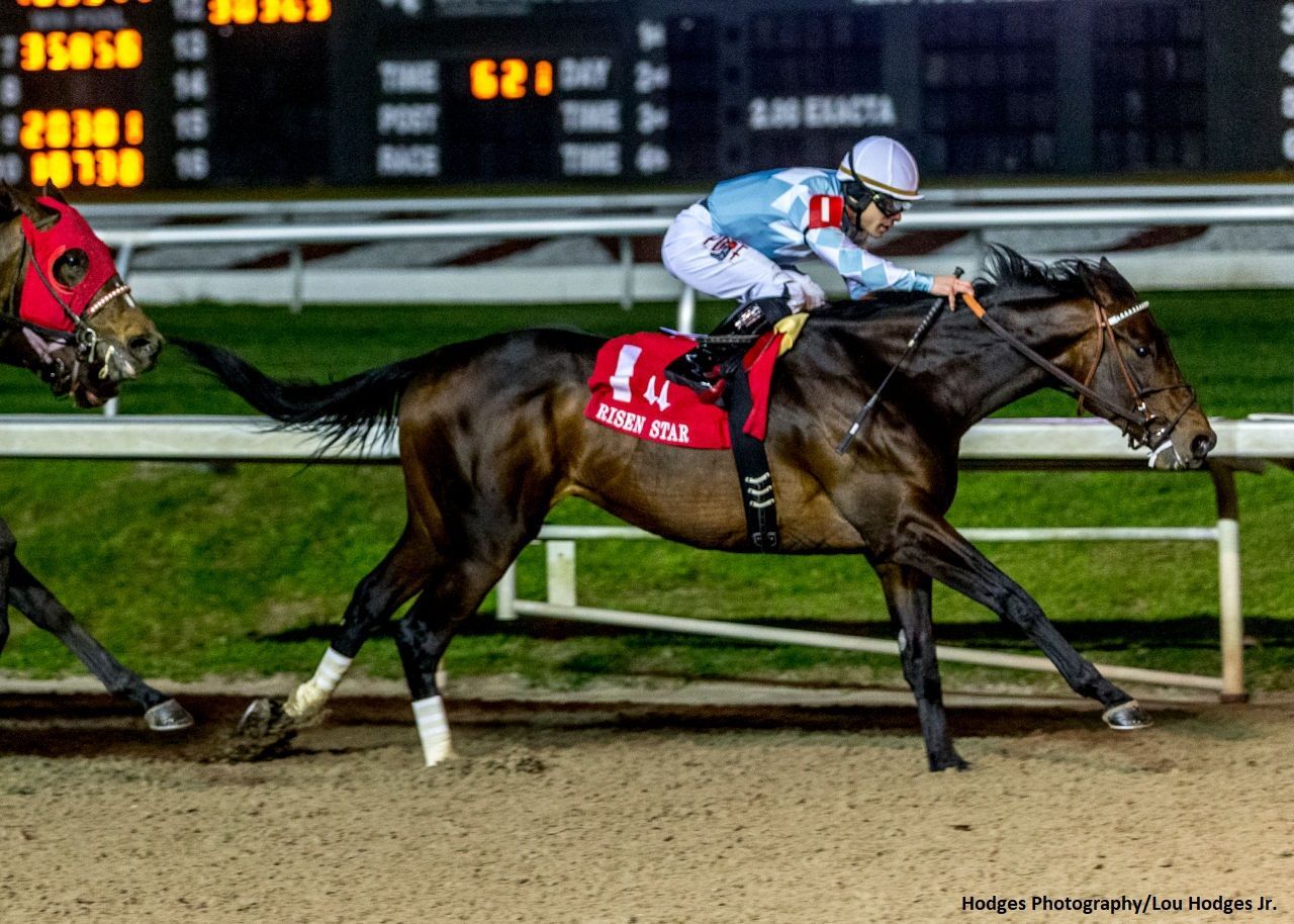 Kentucky Derby Pedigree Profile: Modernist | TwinSpires