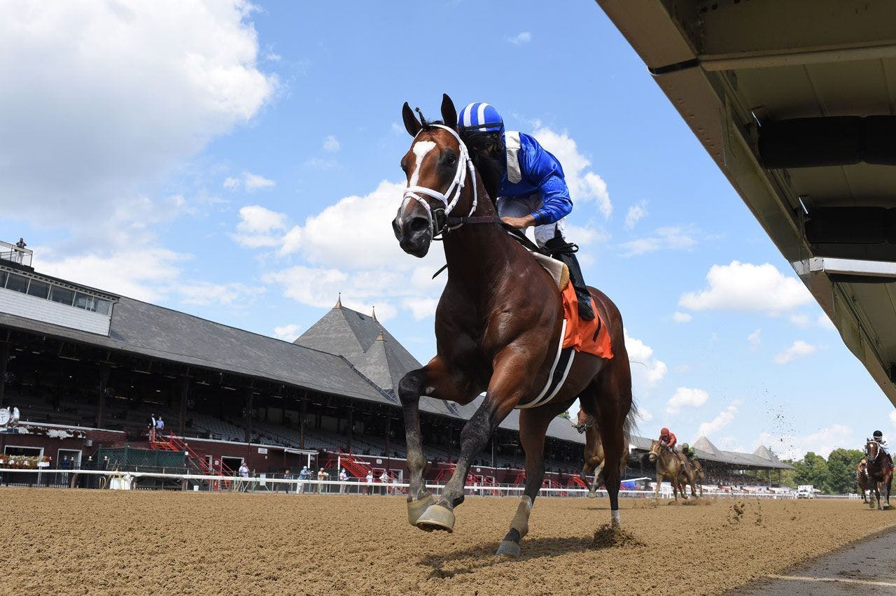 10 juveniles to watch for in the Breeders' Cup TwinSpires