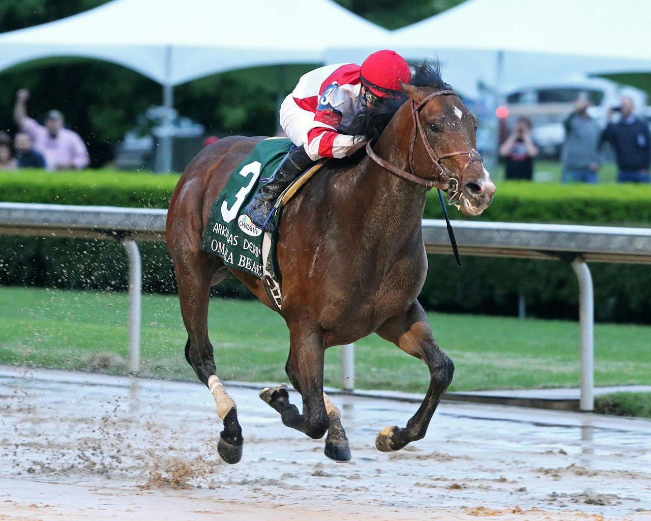 Recent trends in the Arkansas Derby TwinSpires