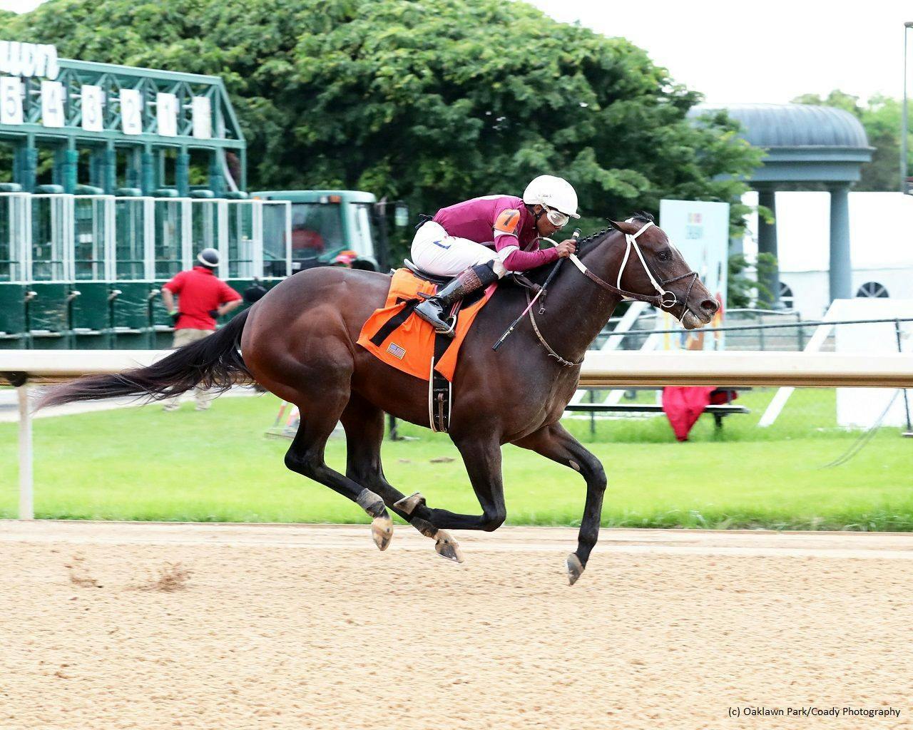 Matt Winn Stakes Tipsheet TwinSpires