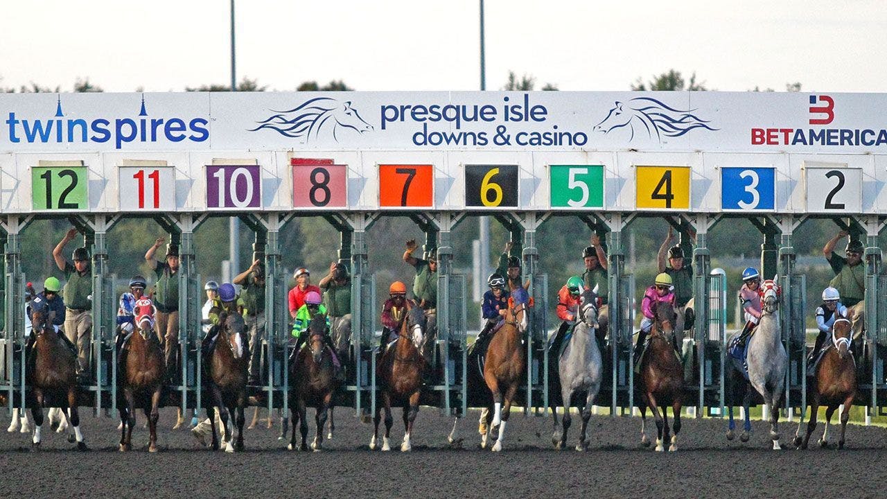 Horses break from the starting gate at Presque Isle Downs