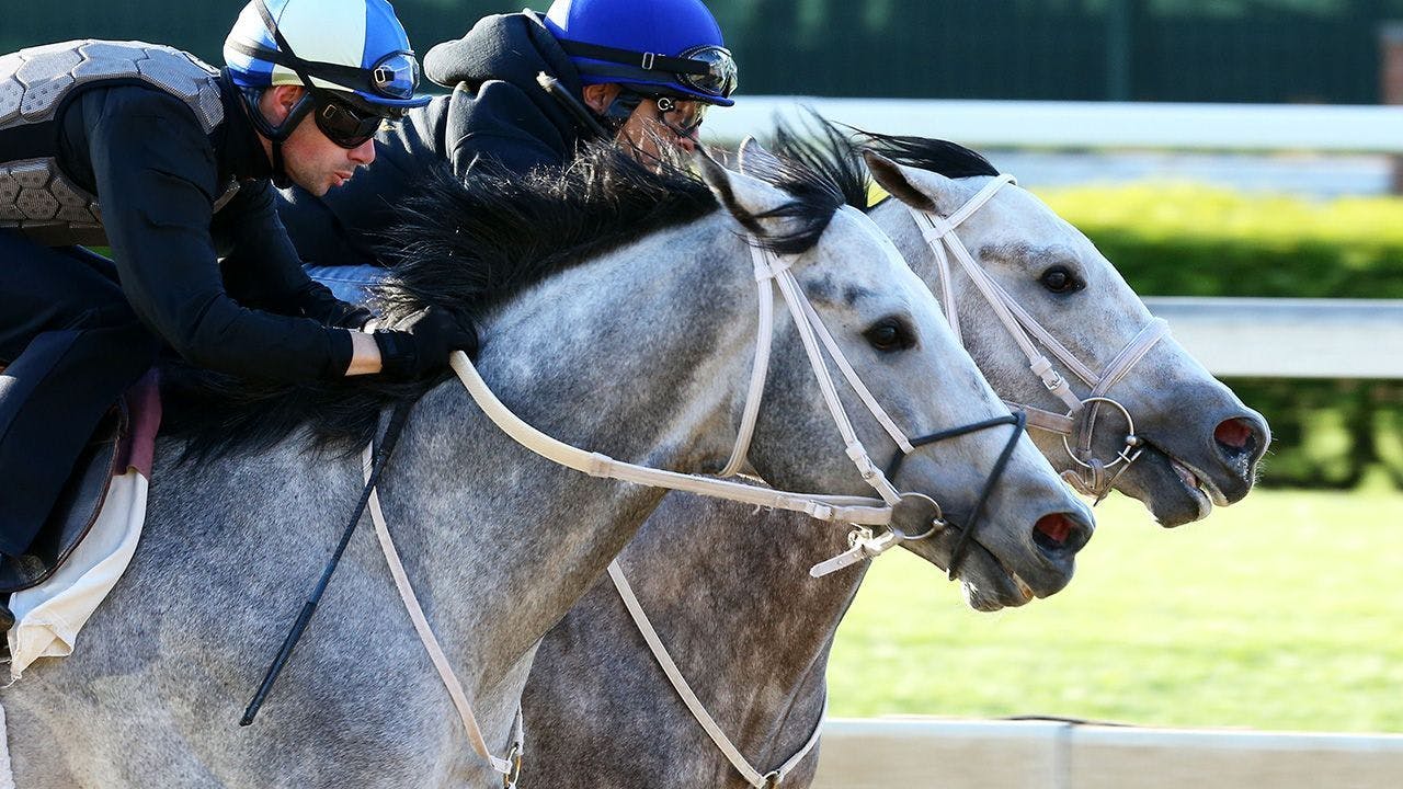 Holland's North American Free Racing Picks for Sept. 30 TwinSpires