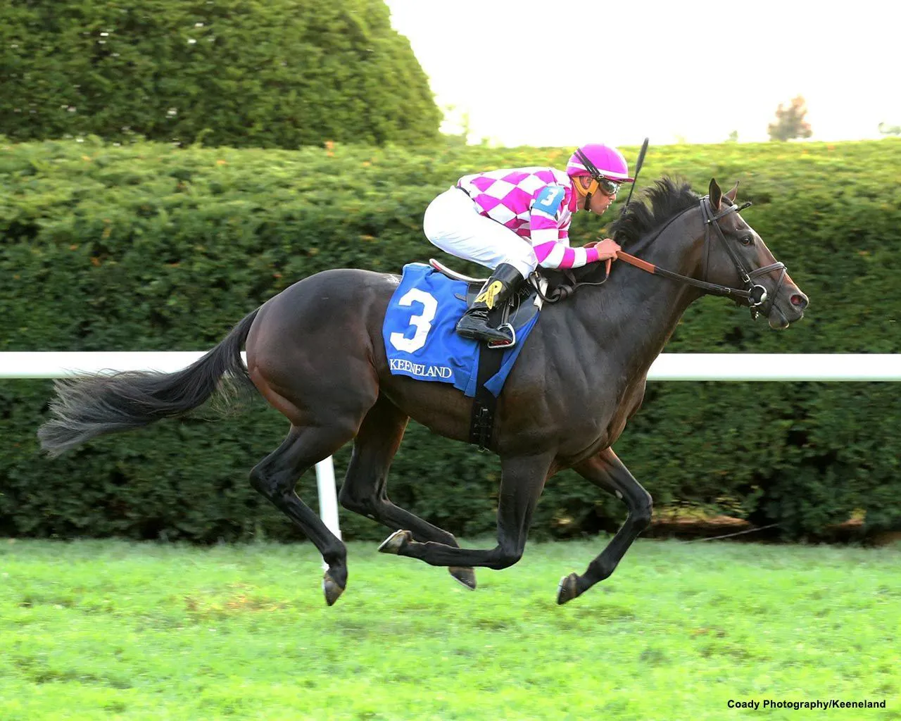 how-to-bet-the-old-forester-bourbon-turf-classic-twinspires
