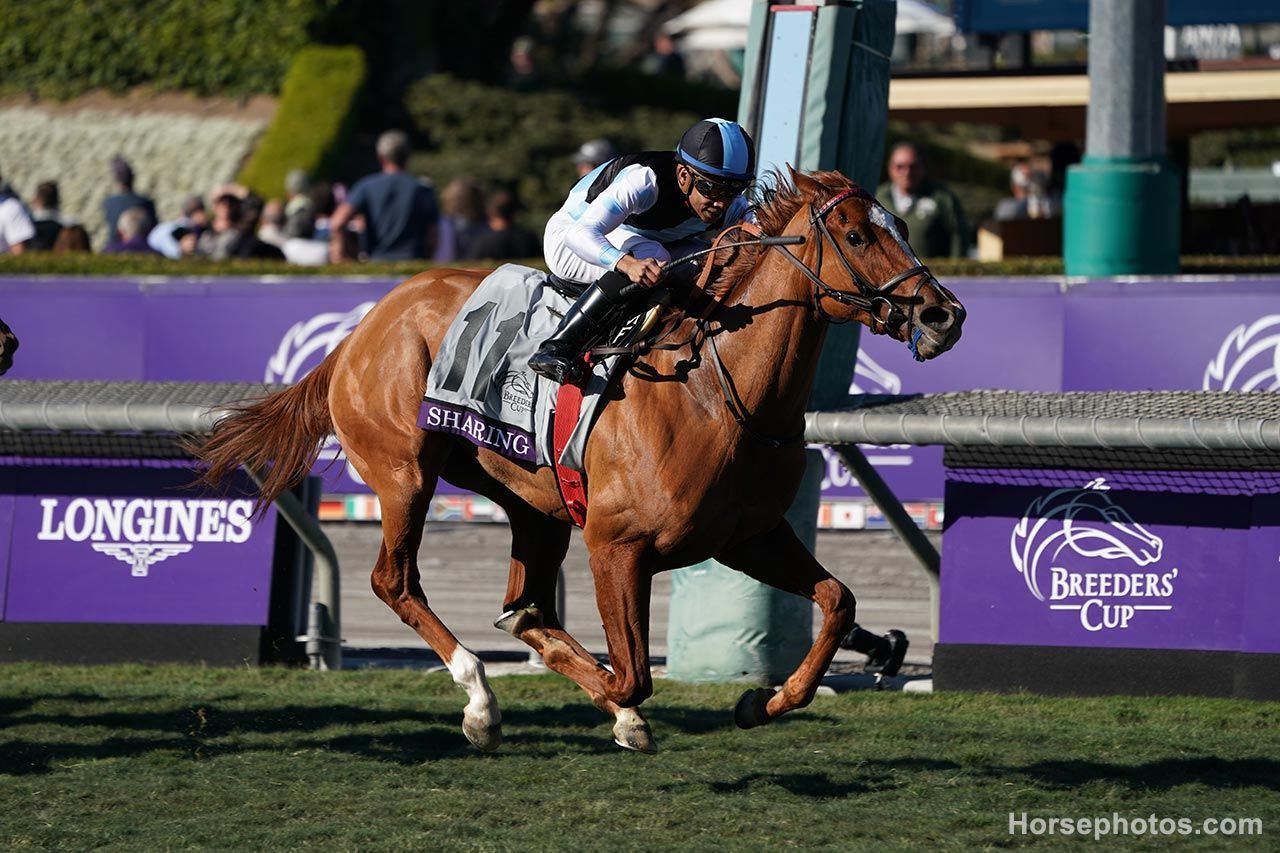 Breeders' Cup